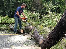 Best Tree and Shrub Care  in Liberty, NC